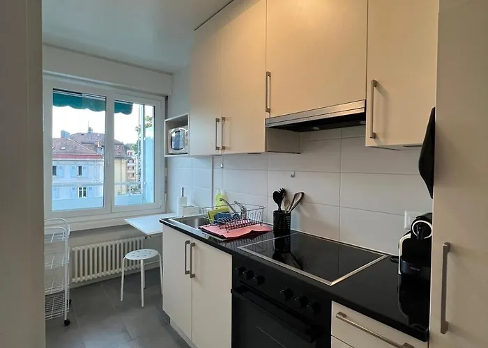 Standing Apartment In Ouchy - Lausanne